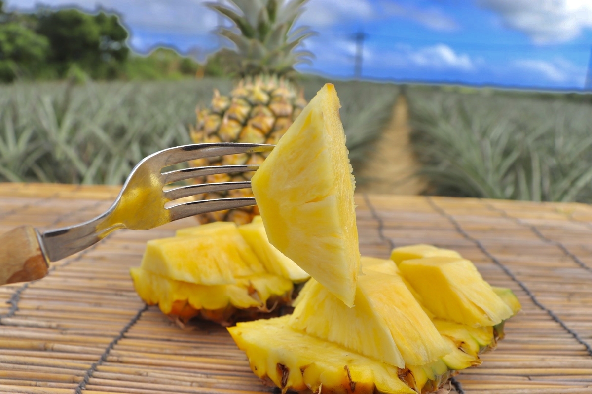 完売！！【石垣島産】極上パイナップル | エコチョク